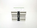 Raytel RTL 601 Temperature Controller