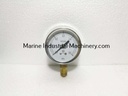 Daiichi Keiki-Hyogo AT 1/4 60 Pressure Gauge (0-0.6MPa)