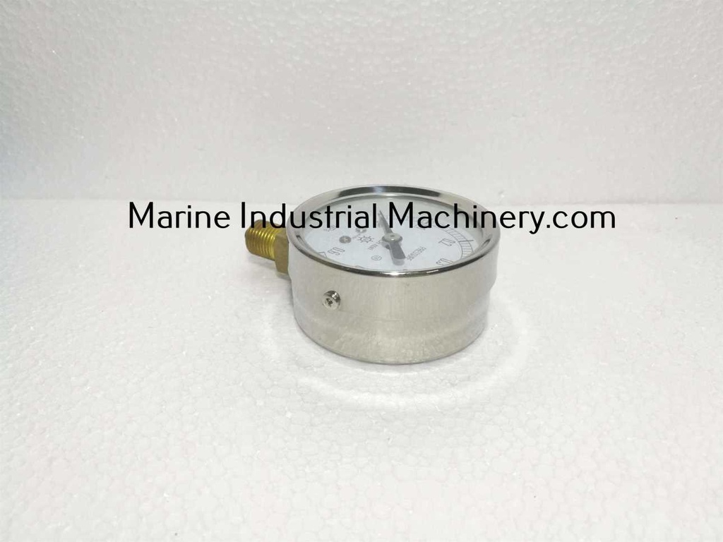Daiichi Keiki-Hyogo AT 1/4 60 Pressure Gauge (0-0.6MPa)