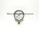 Daito Keiki AT 1/4 60 Pressure Gauge (0-2MPa)