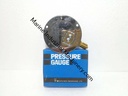 Daito Keiki BT 1/4 60 Pressure Gauge (0-1MPa)