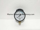 Nagano Keiki AA10-821 Pressure Sensor Switch Gauge (0-0.2MPa)