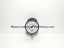 Nagano Keiki AA10-821 Pressure Sensor Switch Gauge (0-0.6MPa)