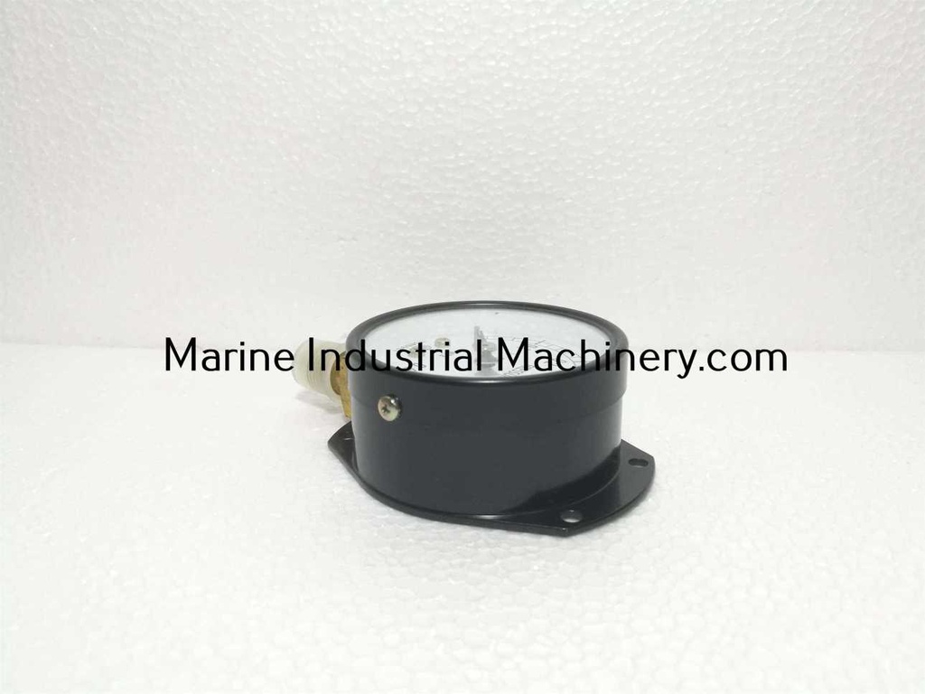Nagano Keiki AA10-821 Pressure Sensor Switch Gauge (0-0.6MPa)