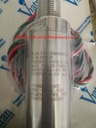 Viatran 5705BMSNGCL6 Pressure Transmitter
