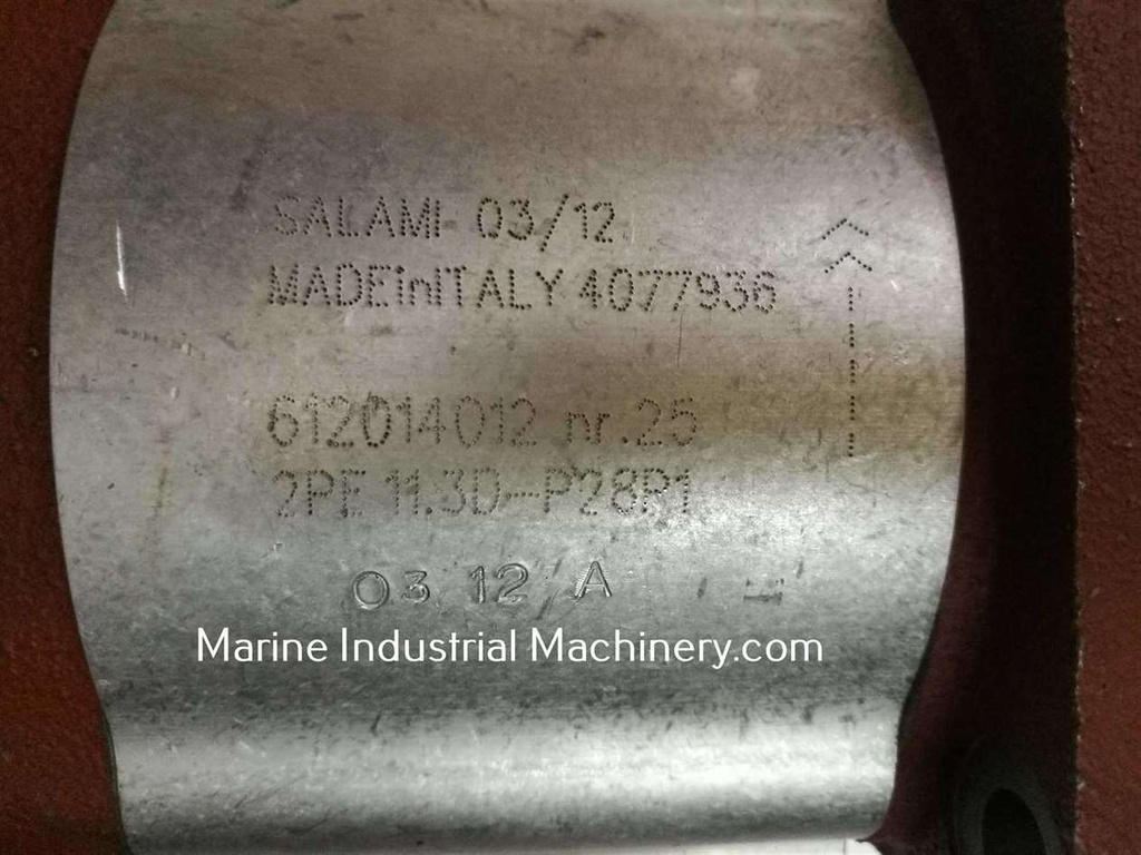 Salami 2PE 11.3D-P28P1 Gear Pump