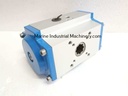 Dattenberg GTE-078/090-10-V17-E Actuator