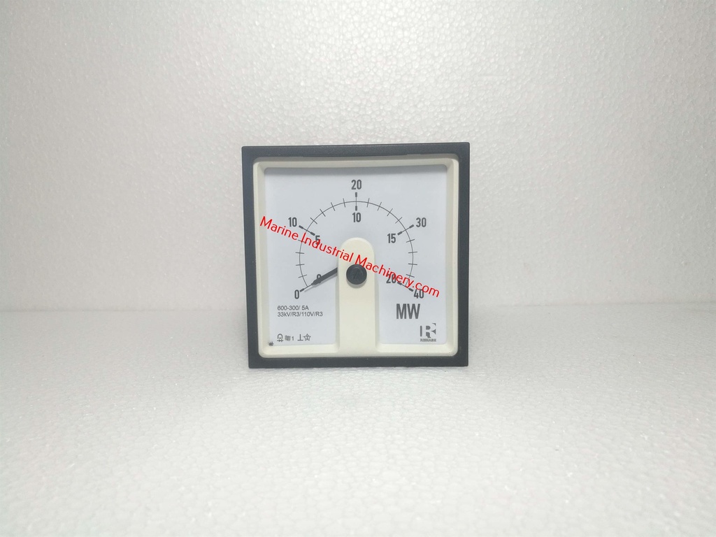 Rishabh Instruments Power Meter(0-20MW/40MW)