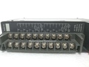 Automation Direct D4-16TR Relay Output Module
