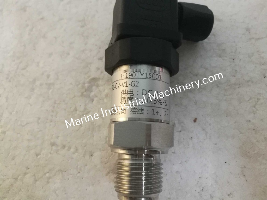 SIN-P300-J1-S1-C2-V1-G2 Valve