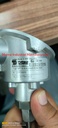 Dittmer 1xPT100-B-4L-Exia,B 00 06-1846-8