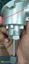 Dittmer 1xPT100-B-4L-Exia,B 00 06-1846-8