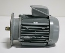 Hitachi VTFO-K 4P Induction Motor