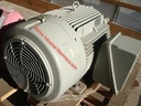 Siemens SD100 Nema Premium Efficiency Motor