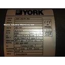 York 024 25179 001 Motor