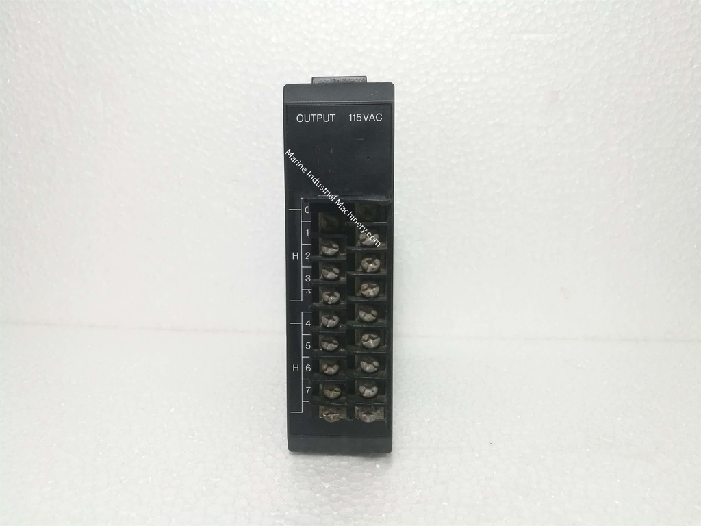 GE Fanuc IC610MDL179A Output Module