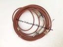 Jumo PT 100 Temperature Probe