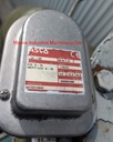 Asco WST8327A648 Solenoid Valve