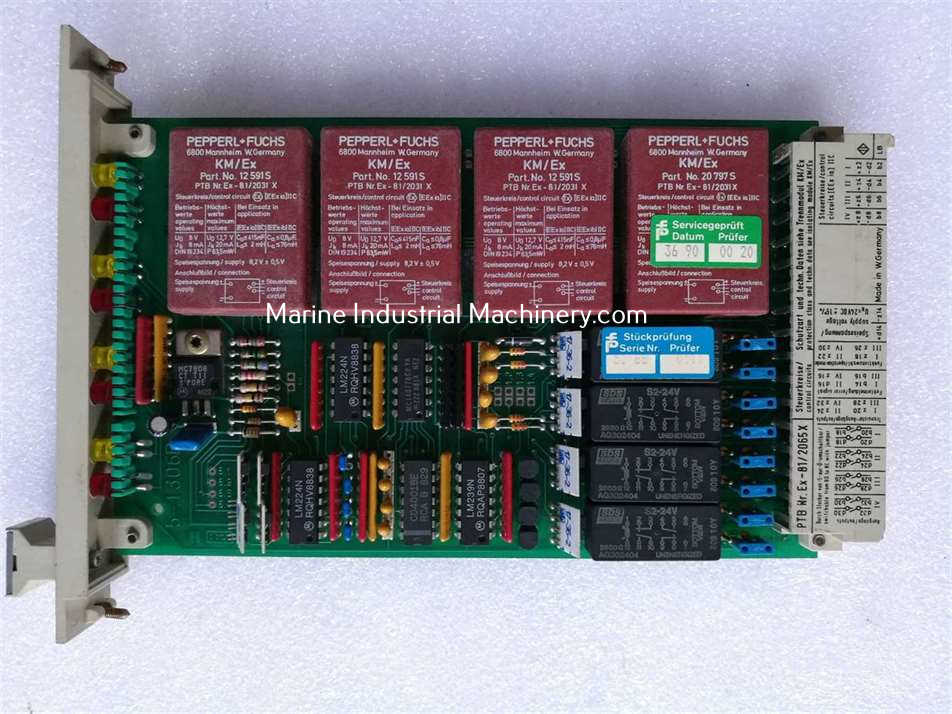 Pepperl+Fuchs EG4-PLK 14167 Switch Amplifier connection module