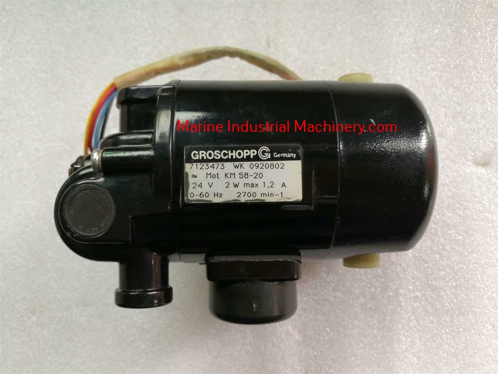 Groschopp 0920802 Governor Motor