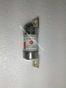 GE Power Controls gM Red Spot Fuse