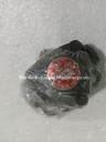 Nippon TOP-11AR-TO Trochoid Pump
