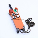Telecrane F21-4D-TX Industrial Radio Remote Control