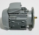 Hitachi VTFO-K 4P Induction Motor
