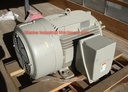 Siemens SD100 Nema Premium Efficiency Motor