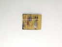 Toyonics SAM-Z24 PCB Card